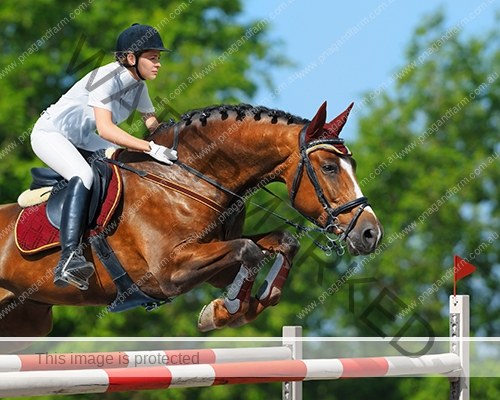 Young woman jumping with bay horse