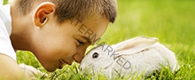 little boy with rabbit