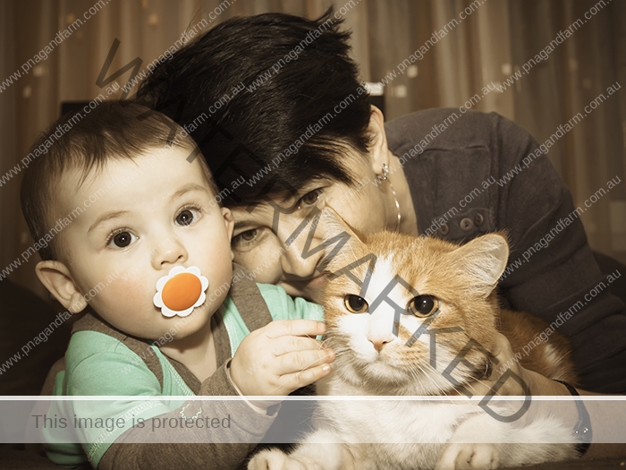 Caucasian family mother and baby playing with red cat