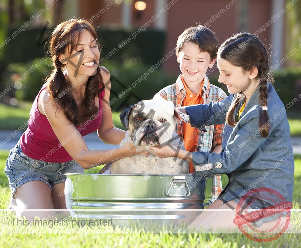 Mother Son &amp; Daughter Family Washing Pet Dog In A Tub