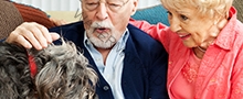 Senior couple at home with their adorable scruffy little dog.