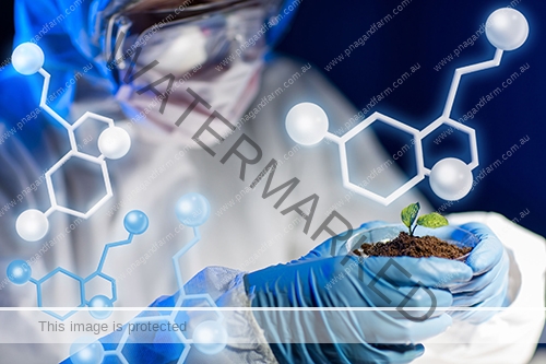 lab-plant-soil