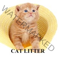 https://www.pnagandfarm.com.au/wp-content/uploads/2016/11/C-CAT-LITTER-200x200.jpg