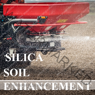 https://www.pnagandfarm.com.au/wp-content/uploads/2016/11/C-SilicaSoil.jpg