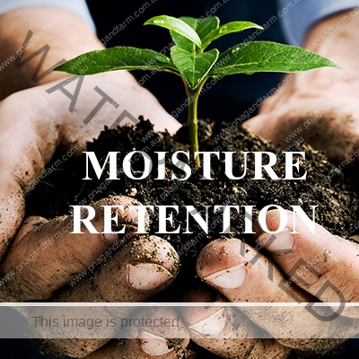 https://www.pnagandfarm.com.au/wp-content/uploads/2016/11/C-moistureplant-hand.jpg