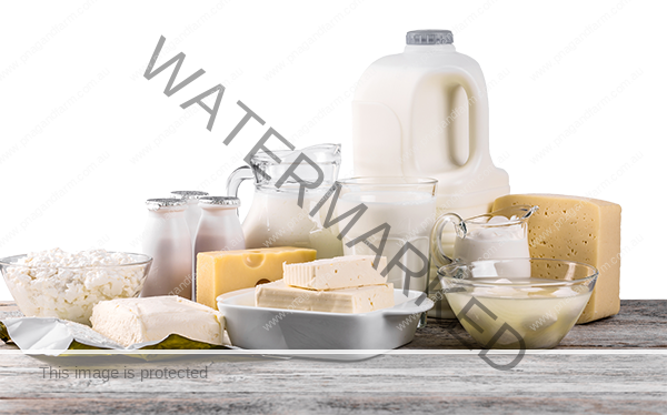 dairy products-1