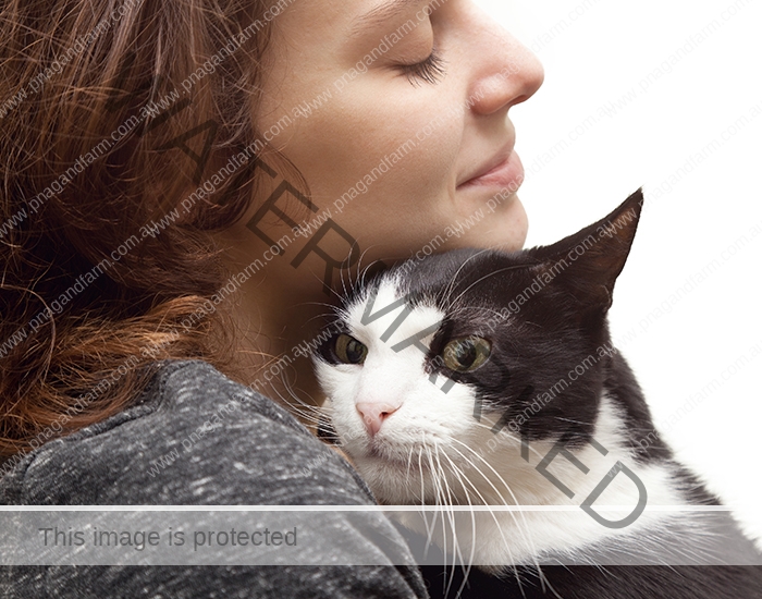 beautiful young woman with monochrome black and white cat isola beautiful young woman 20 years with monochrome black and white cat