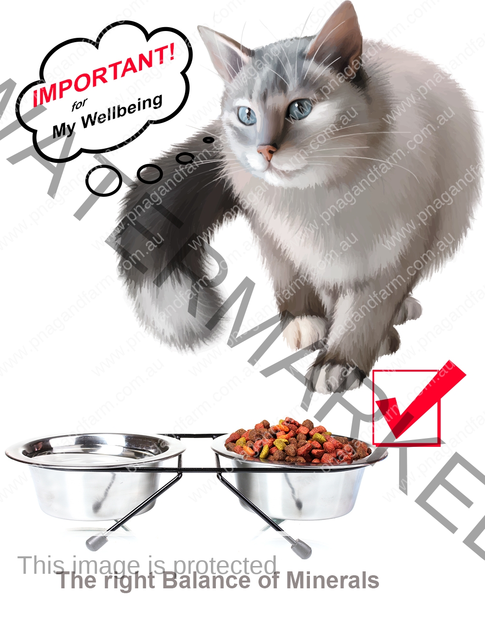 cat food balance